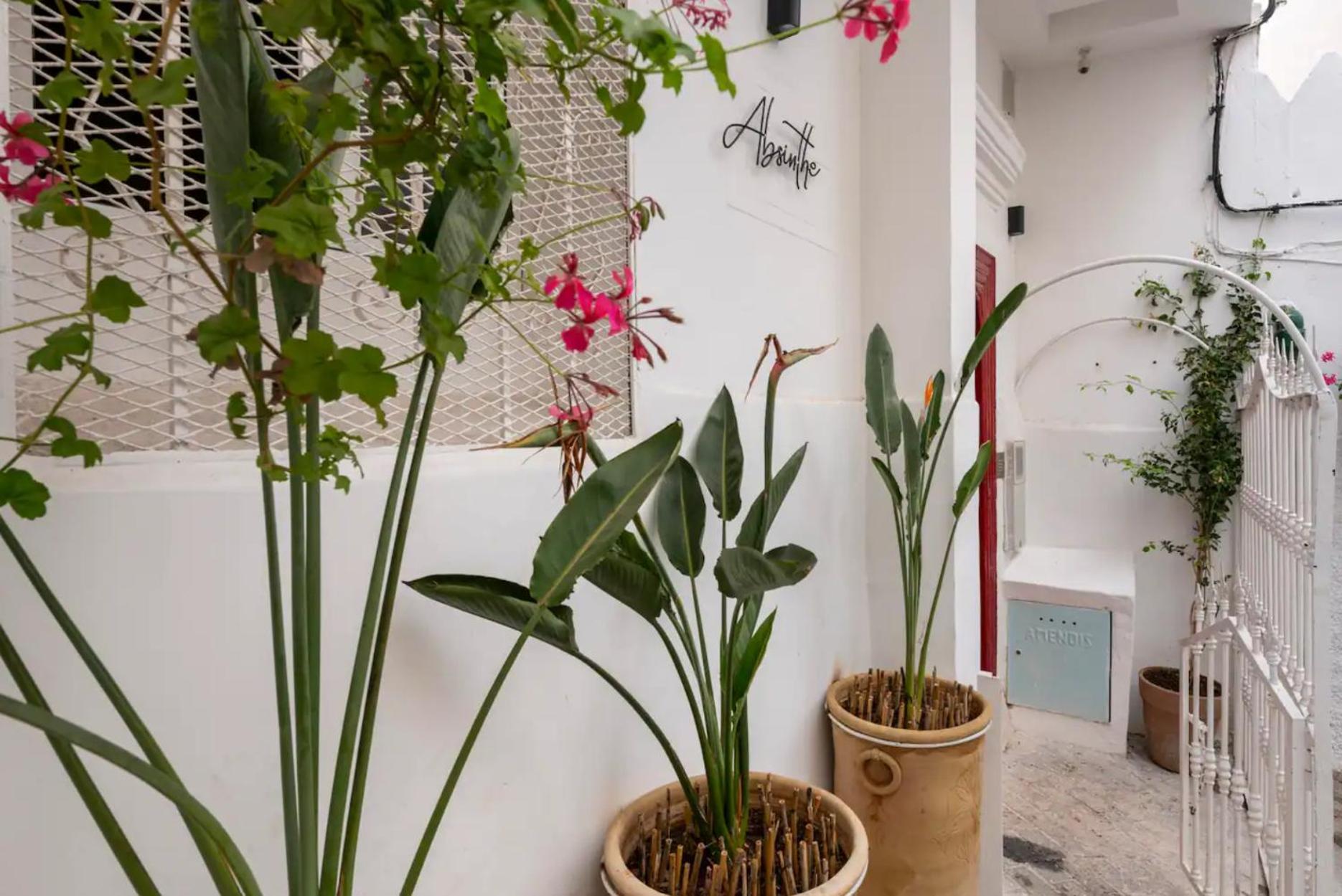 Absinthe Guest House Tanger Exterior foto
